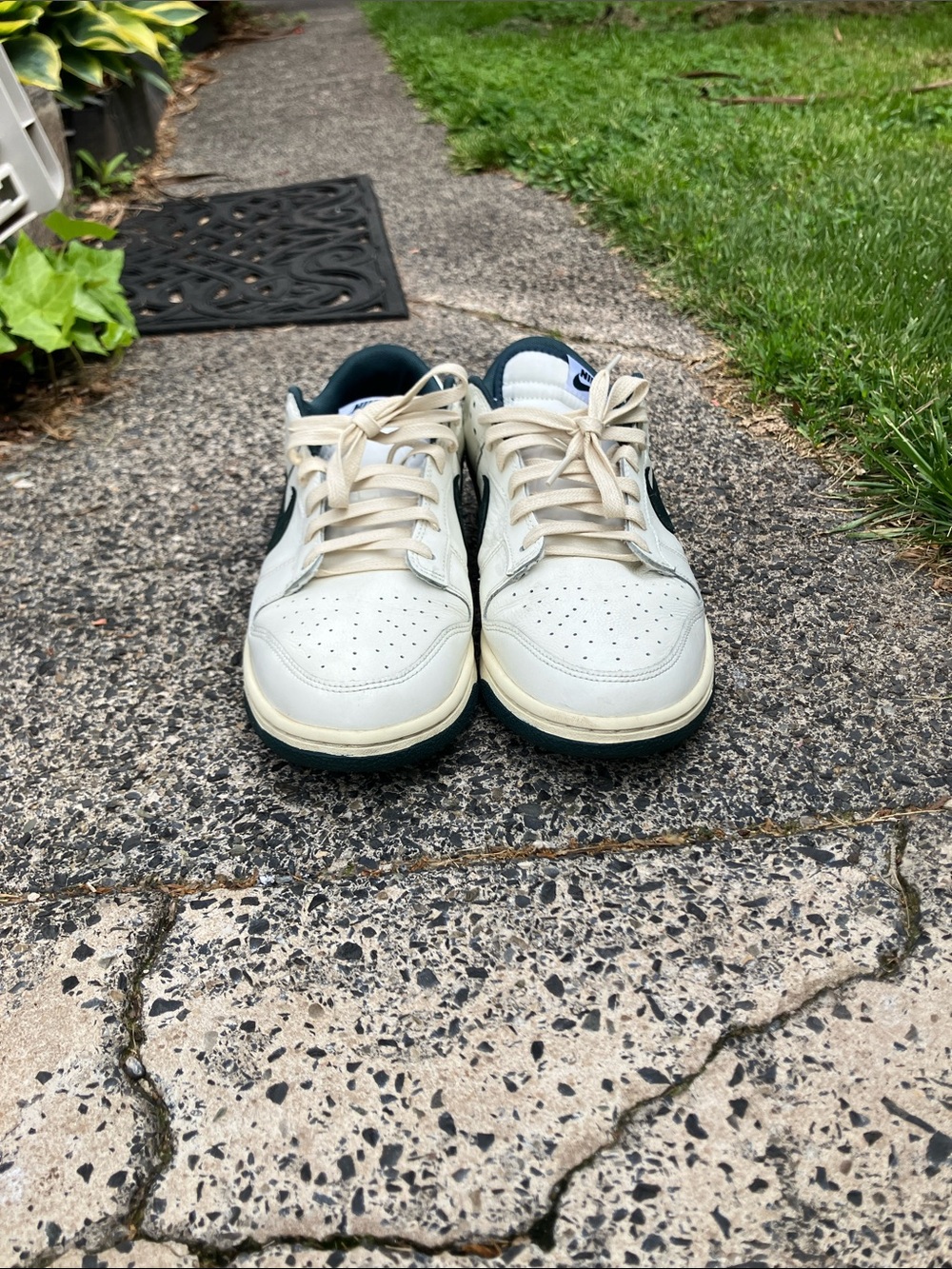 Dunk lo - Picture 2 of 5
